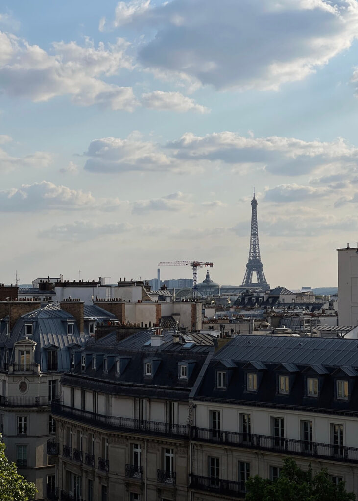 printemps paris view skyline free