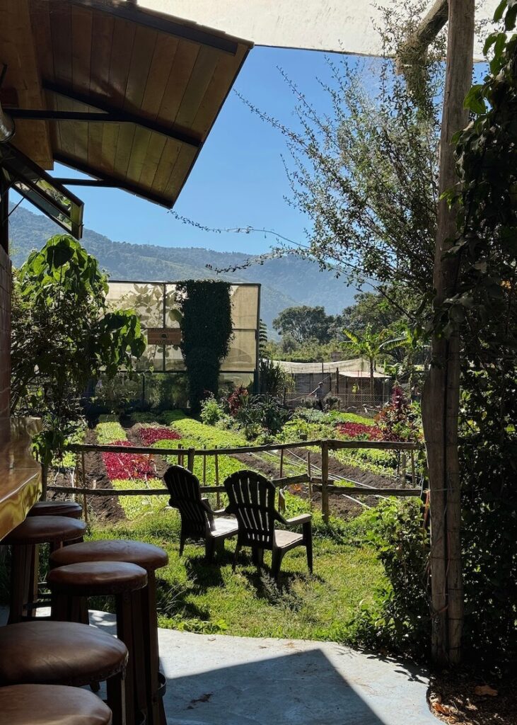 Caoba Farms café in Antigua Guatemala garden setting