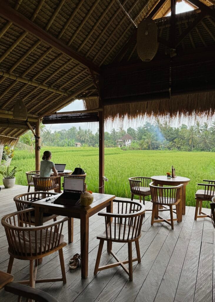 working on laptop ubud bali rice fields