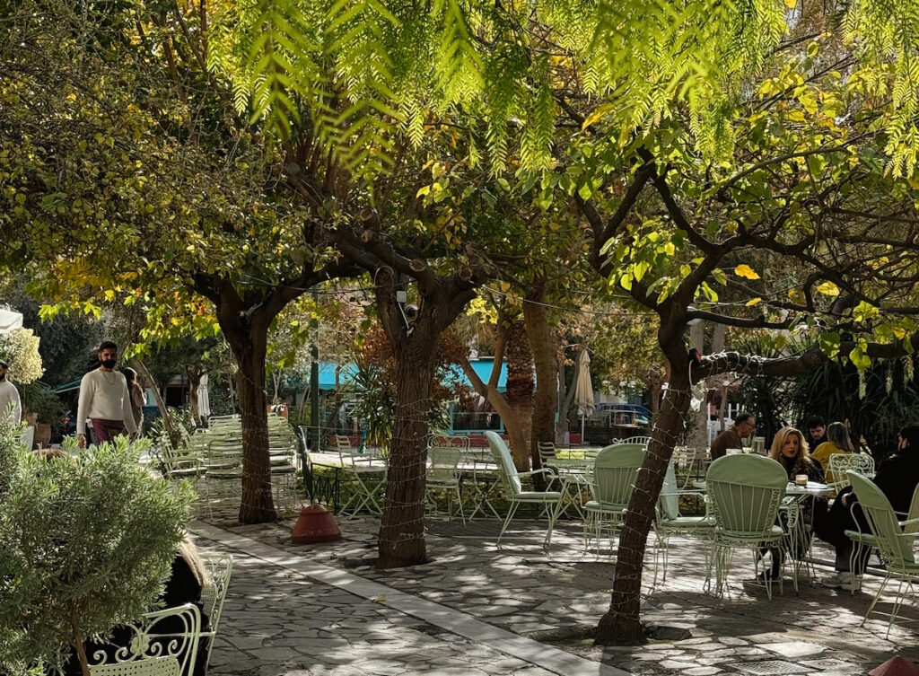 athens greece outdoor cafe trees green chairs