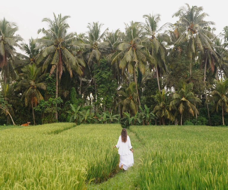 ubud rice fields - peaceful places to stay in bali