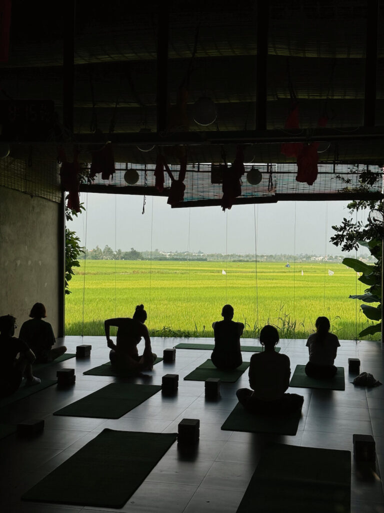 hoi an yoga class rice field view